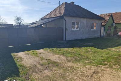 Casă cu 2 camere decomandat cu Teren 1230 Mp în Bocsig - 7