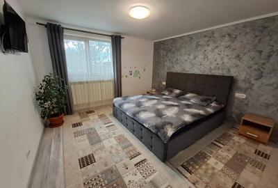 Islaz, Branesti, casa vanzare - 4