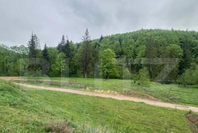 Teren intravilan 20.000 mp, zona Soarecului, Marginea - 2