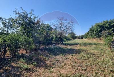 Teren de 3607 mp, în Balotești - 6