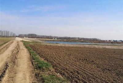 RECO Teren Santion - 3