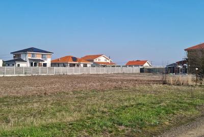 Teren Construcții intravilan de 701 mp, în Dumbrăvița - 3