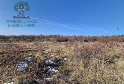 Spațiu comercial, în Bârnova - 2