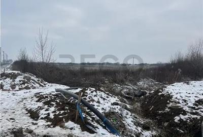 Teren de 26000 mp, în Inand - 1
