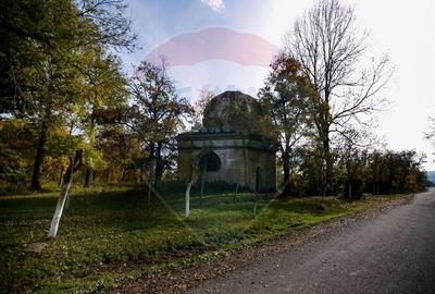 Domeniu Baronial de vanzare in localitatea CIL , Judet Arad - 4