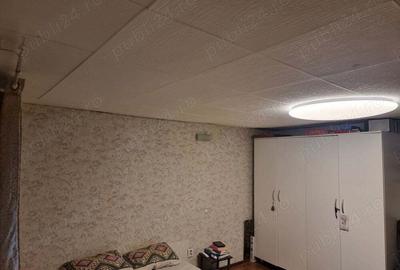 Casu?a cu teren , Ciolpani - Piscu - 4