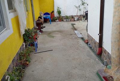 Casa de vanzare Vidin Braila ( Pisc ) 5 camere ( +1 camera micuta ) - 6