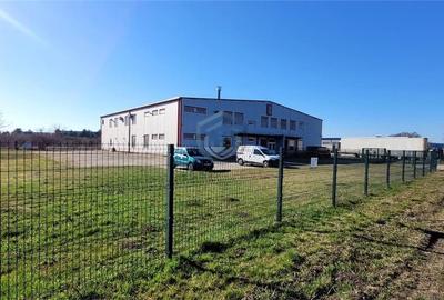 Hala industriala P+E Zona Industriala Bors - 4