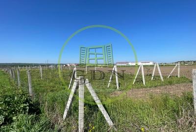 Teren intravilan agricol 6215mp cu utilitati in Racari, jud. Dolj - 1