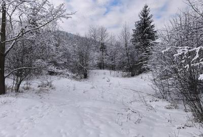 Teren de 22600 mp, în Sucevița - 1