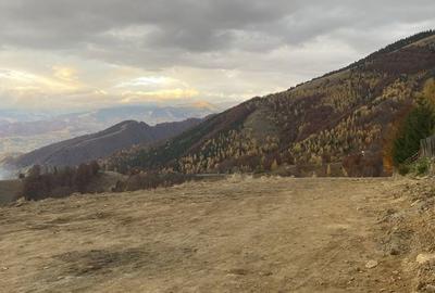 Spațiu comercial, în Petros - 3