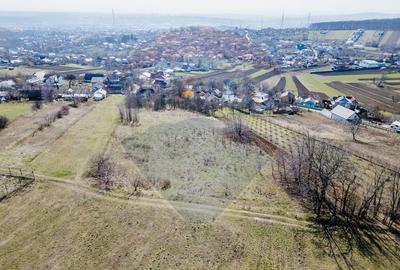 Teren Construcții intravilan de 3800 mp, în Burdujeni - 9