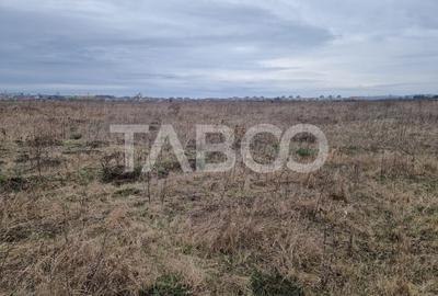 Teren intravilan 1500 mp zona Campsor cartierul Strand - 5