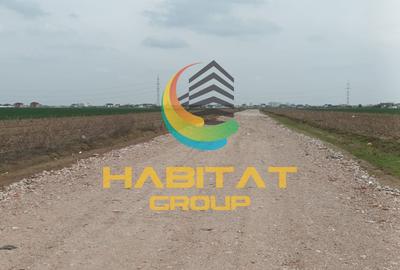 Teren 552 mp | Utilitati la Lot | Rate fara Dobanda | Vidra - 4