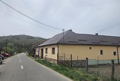 Teren de 2200 mp, în Petrani - 3