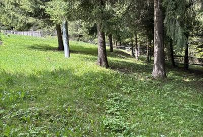 Casă cu Teren 3500 Mp în Central - 2