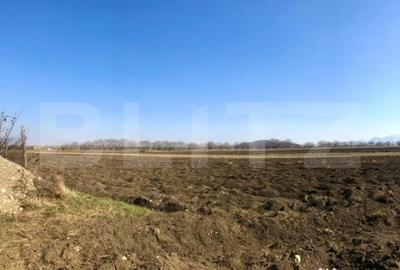 Teren de 10000 mp, în Central