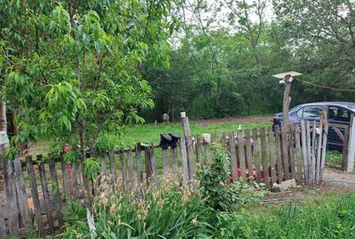 Casă cu 2 camere în Central - 4