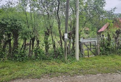 Teren de 800 mp, în Borzești - 1
