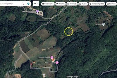 Teren de 2200 mp, în Dăești - 6