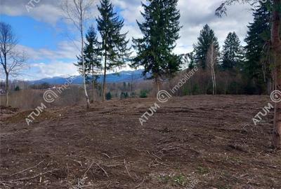 Teren intravilan 2000 mp de pe Valea Avrigului loc Avrig - 1