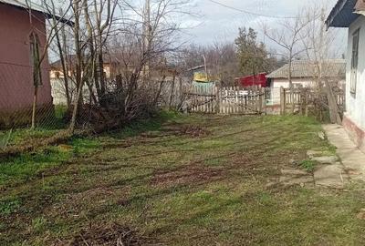 Casă cu 4 camere cu Teren 1110 Mp în Vlad Țepeș - 3