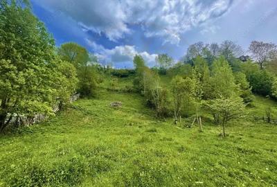 Teren de 839 mp, în Valea Doftanei - 2