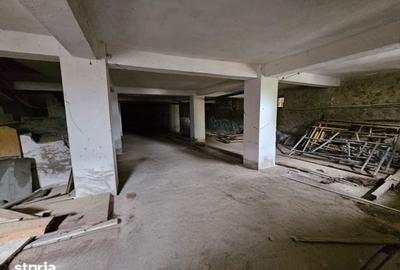 Casă cu Teren 1863 Mp în Baia de Fier - 10