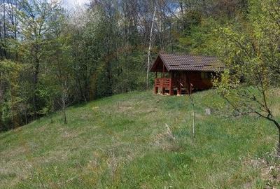 Casă individuală cu 6 camere cu Garaj în Bascov - 17