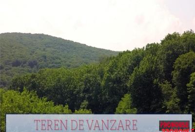 Valea Budului - Teren intravilan. Lac. Padure - 14