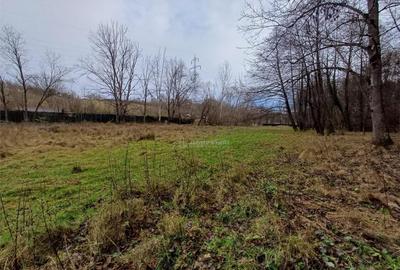 Resita, Teren Drept Intravilan, Langa Prau si Drum, Parcelab - 17