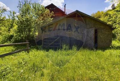 Comision 0%! Proprietate in natura, priveliste superba, Sita Buzaului - 7