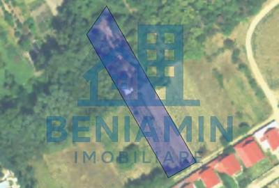 Teren Intravilan doua deschideri-3526mp-Malu Mare-parcelabil-asfalt - 2