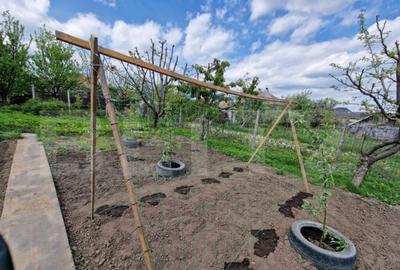 Casa individuala, 100 mp utili, teren 759 mp, Falticeni - 8