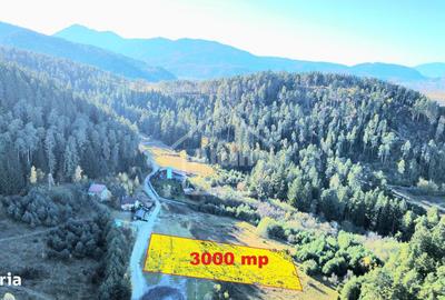 Teren de 3000 mp, în Poiana Angelescu - 12