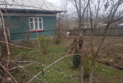 Vand casa in sat Bace?ti, comuna Bace?ti, jude?ul Vaslui - 4