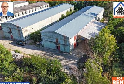 Hale de inchiriat in 1 Decembrie Ilfov | NILS Imobiliare - 2