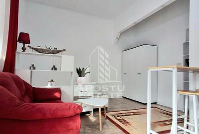 Garsoniera de inchiriat In Gradiste - 6