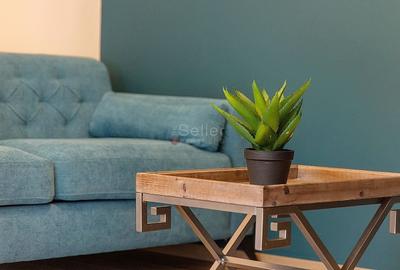 Apartament cu 2 camere decomandat, mobilat în Răcădău - 7