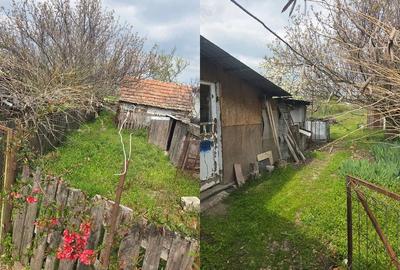 Casă cu Teren 1439 Mp în Ianova - 2