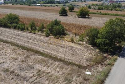 Teren intravilan in RATE la intrare in comuna Berceni Teren intravilan in RATE la intrare in comuna Berceni - 3