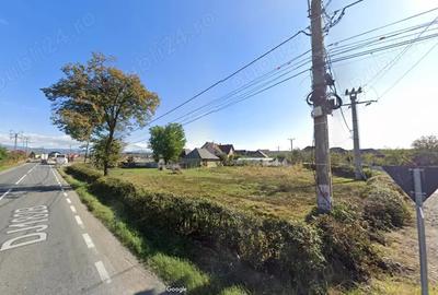 TEREN de inchiriat - la 3km de Baia Mare - 3