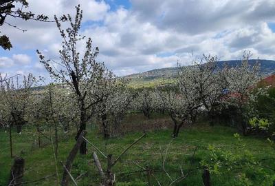 Teren de 1150 mp, în Bârnova