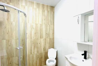 Garsoniera de inchiriat zona Timpuri Noi bloc nou - 4