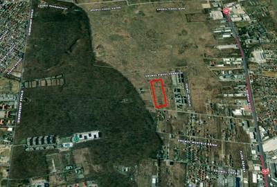 REL4001044 Investitie - teren 27580 mp langa Padurea Baneasa - 5