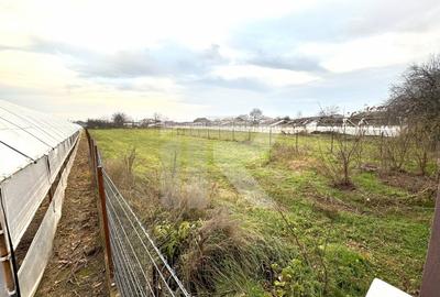 Teren intravilan, Curcubeu, Balta Doamnei, liber, imprejmuit - 3