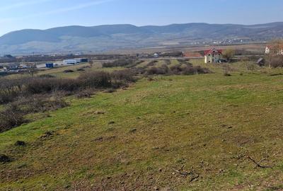 Teren Construcții intravilan de 14500 mp, în Șieu-Măgheruș - 5