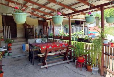 Casă cu 4 camere cu Teren 2200 Mp în Lugoj - 7