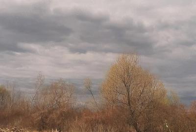 Teren de 2000 mp, în Sânnicolau Român - 7