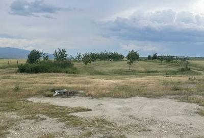 Teren de 7800 mp, în Vințu de Jos